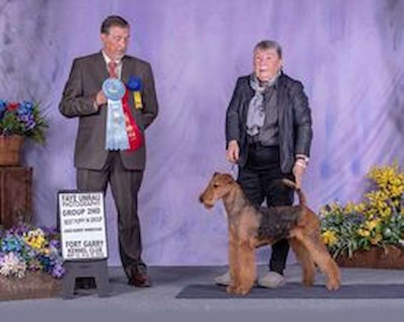 Spring puppies expected. 2026